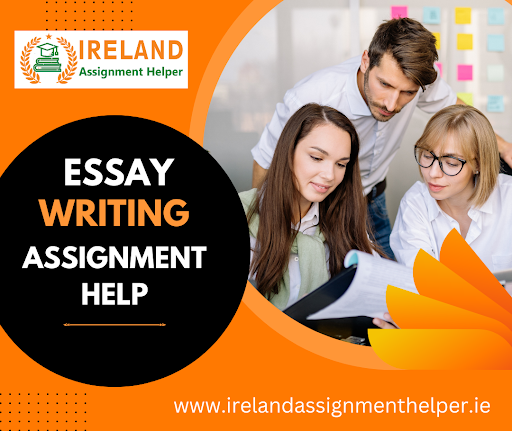 best assignment writing service ireland